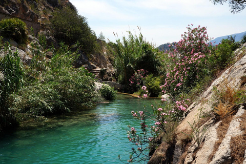 From Albir or Benidorm: Algar Waterfalls Day Trip From Benidorm with Gran Hotel Bali Meeting Point