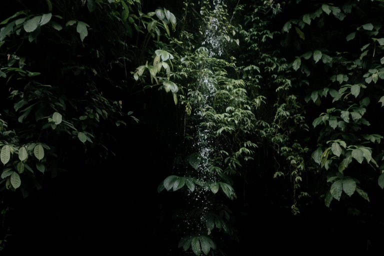 Private Balinese Body and Soul Cleansing Journey