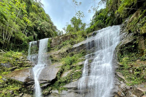 Paraty: Melancia Waterfall Trail Guided Hike with Pickup