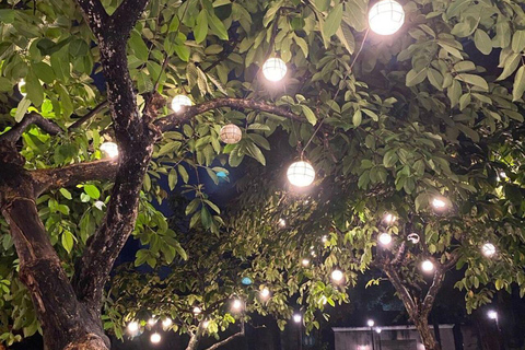 Delhi: prywatna wycieczka nocna do grobowca Humajuna i ogrodu Sundar NurseryDelhi: prywatna wycieczka nocna do grobowca Humajuna i szkółki Sundar