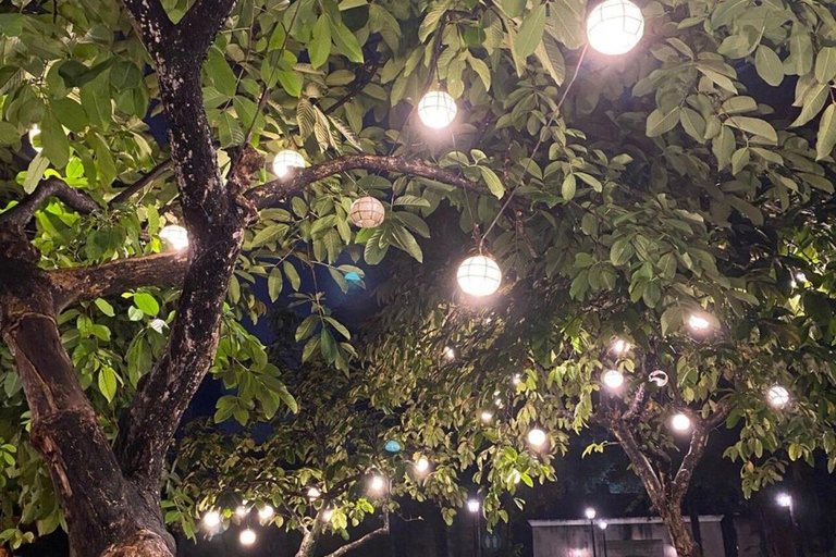 Delhi: prywatna wycieczka nocna do grobowca Humajuna i ogrodu Sundar NurseryDelhi: prywatna wycieczka nocna do grobowca Humajuna i szkółki Sundar