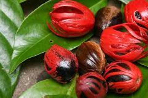 Zanzibar: Wycieczka piesza po Kamiennym Mieście + Wyspa Więzienna i przyprawy