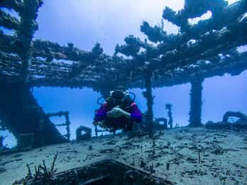 Puerto Morelos: Tour de buceo en arrecifes y pecios