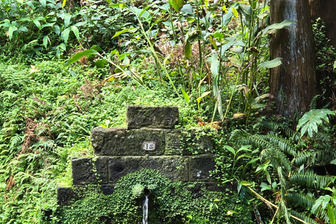 Northeast: Tour of Unspoiled Nature and Ribeira dos Caldeirões Northeast: Tour of Untouched Nature and Ribeira dos Caldeirões