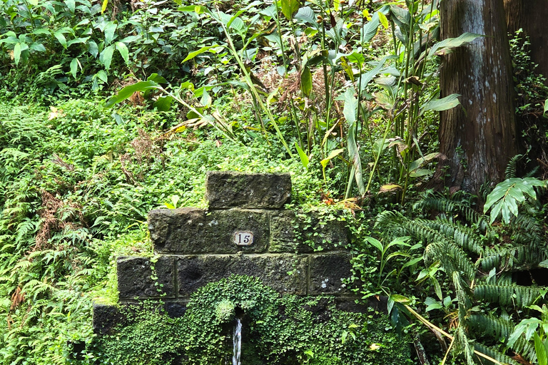 Northeast: Tour of Unspoiled Nature and Ribeira dos Caldeirões Northeast: Tour of Untouched Nature and Ribeira dos Caldeirões