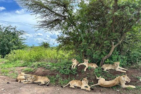 Nairobi National Park Predator Tracking Safari Tour