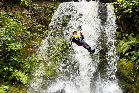 Christchurch: Tui Canyon Half-Day Canyoning Adventure