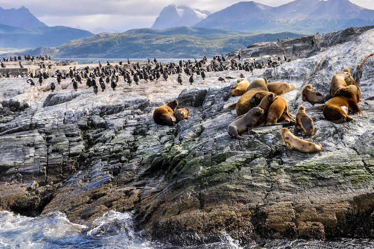 Ushuaia: Tour: Beagle Channel Navigation