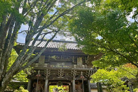 Hiroshima: Miyajima Island Cultural Walking Tour