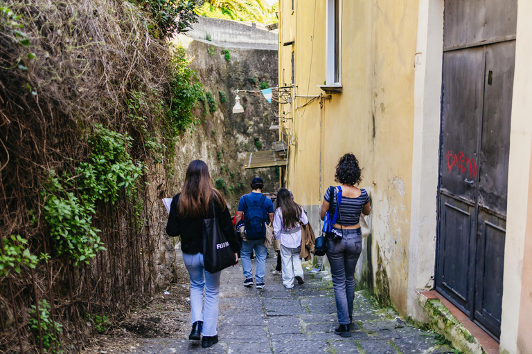 Neapel: Kontrasterande stadsdelar Rundvandring med linbana