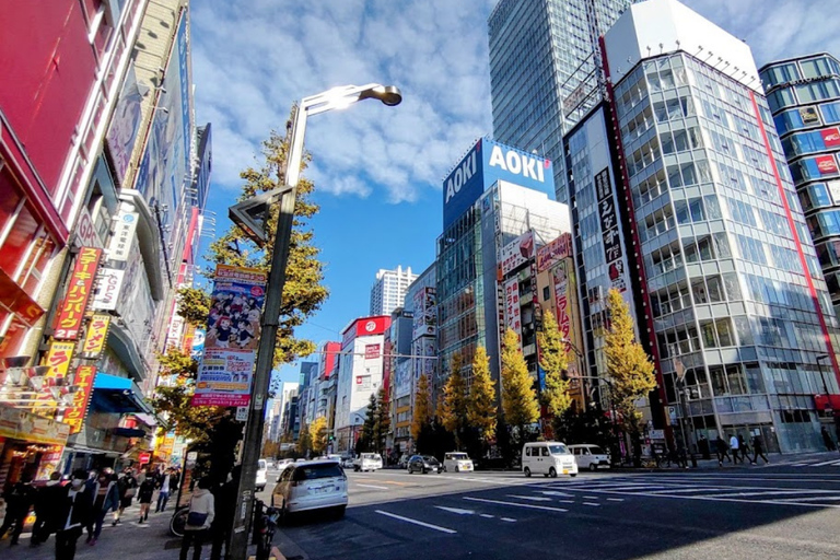 Tokyo : Visite guidée de la ville ancienne et de la ville moderneTokyo : visite guidée d'une demi-journée de la ville