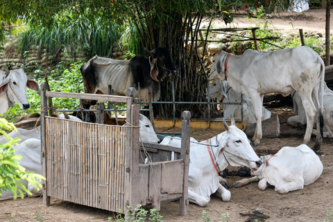 Phnom Penh: Silk Island & Countryside by Tuk Tuk with Snack