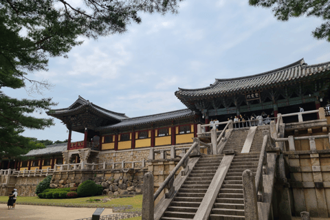 Au départ de Busan : visite du patrimoine UNESCO de Gyeongju avec vue nocturneGyeongju : départ de Busan pour une visite guidée du patrimoine de l&#039;UNESCO avec vue nocturne