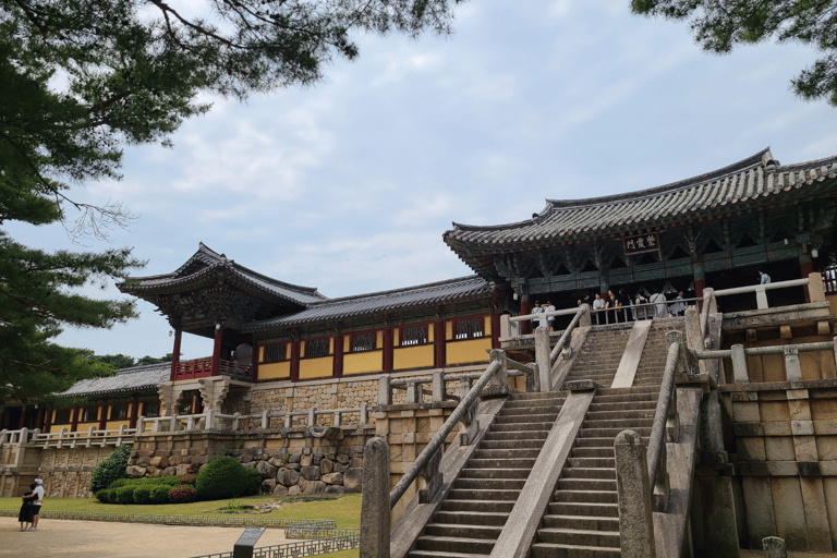 Au départ de Busan : visite du patrimoine UNESCO de Gyeongju avec vue nocturneGyeongju : départ de Busan pour une visite guidée du patrimoine de l&#039;UNESCO avec vue nocturne