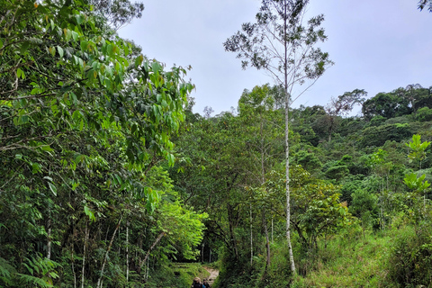 CAMINHO DO OURO - Geführte Tour durch den Atlantischen Wald, Wasserfälle und Geschichten.