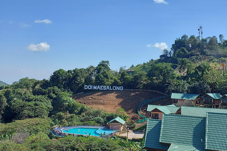 Chiang Rai: Mountains Discovery Doi Mae Salong & Doi Tung Mountains Discovery:Doi Mae Salong & Doi Tung (Private Tour)