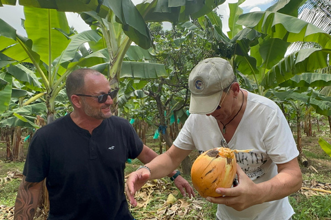 St. Lucia: Marigot Bay and Banana Plantation Tour