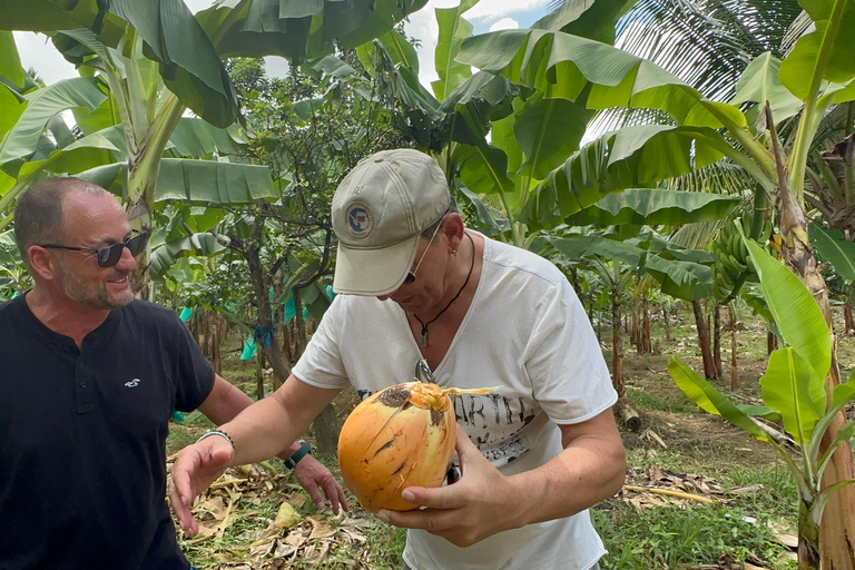 St. Lucia: Marigot Bay and Banana Plantation Tour