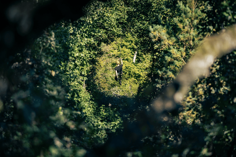 Gothenburg: High Ropes Adventure