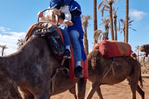 Marrakech: Camel Ride in the Oasis Palmeraie