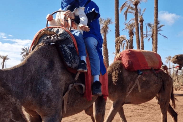 Marrakech: Camel Ride in the Oasis Palmeraie