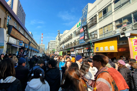 Tokyo: Privat heldagstur med engelsk chaufförHeldag Tokyo Personlig privat tur med engelsk förare