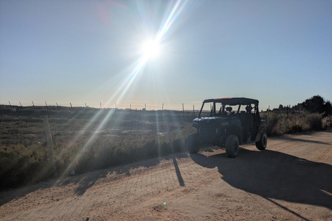Guided buggy Passenger tour Alvor Ria wetlands