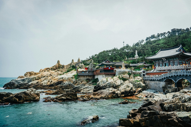 Busan Highlights: Beach Train, Culture Village & Market