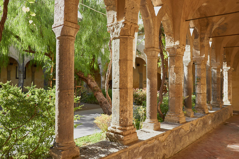 From Rome: Best of Pompeii Guided Tour and Sorrento day trip