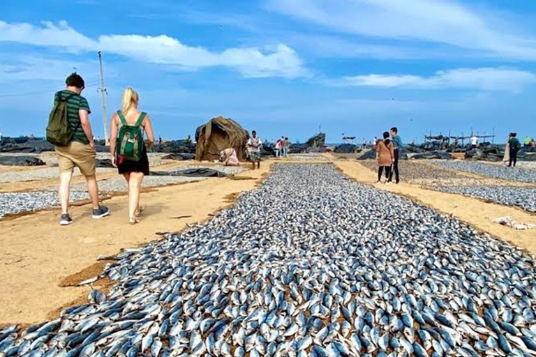 Negombo: Guided City Tour with Airport Drop-Off