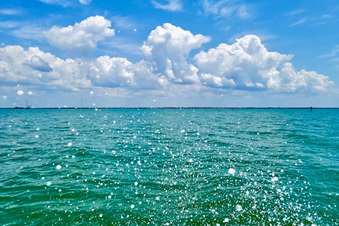 Tarpon Springs: Evening Dolphin Cruise Tarpon Springs: Sunset Dolphin Cruise with Refreshments