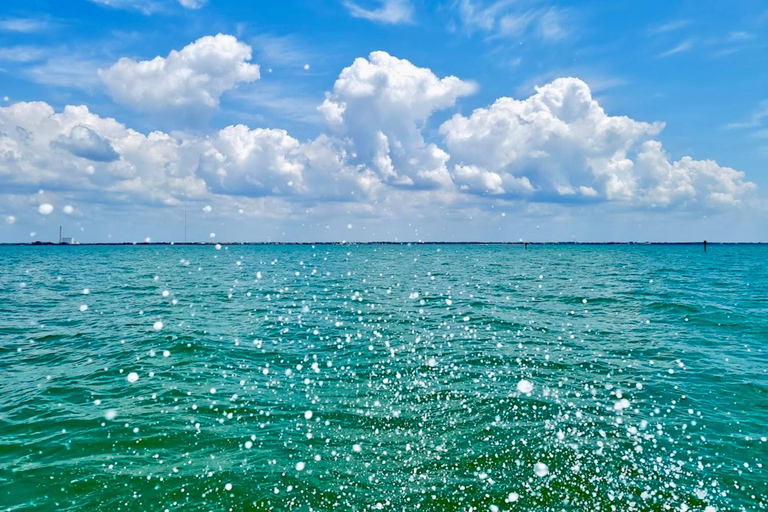 Tarpon Springs: Evening Dolphin Cruise Tarpon Springs: Sunset Dolphin Cruise with Refreshments
