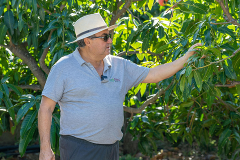 Guided visit to Ecofinca Nogales with organic food tasting