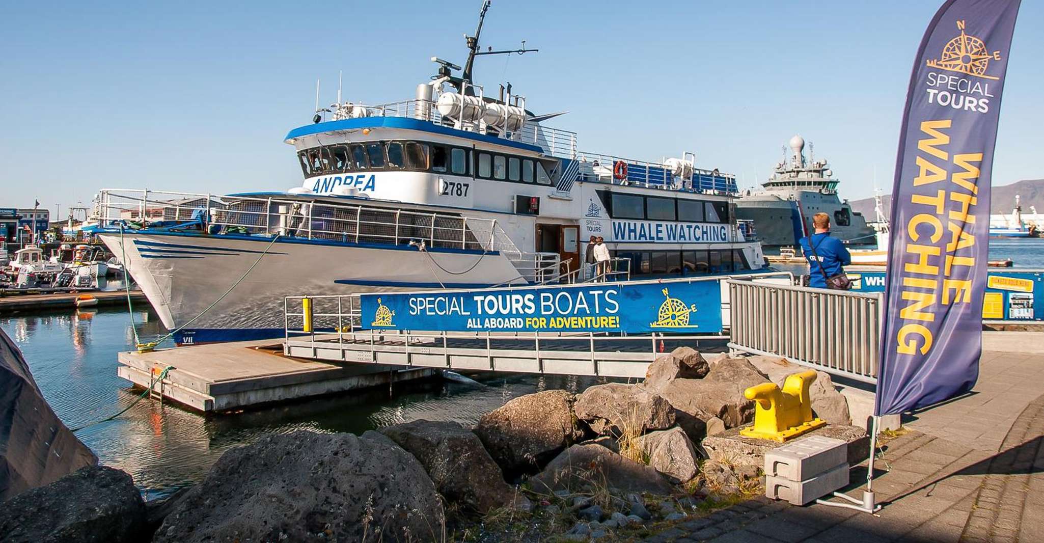 Reykjavik, Whale Watching Tour - Housity
