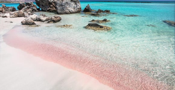From Platanias: Elafonisi Beach, the pink sand beach