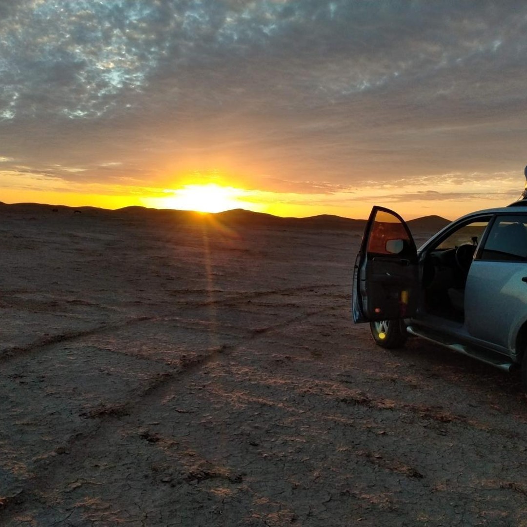 Depuis Marrakech : voyage aller-retour de 2 jours via le désert de Zagora - dromadaire