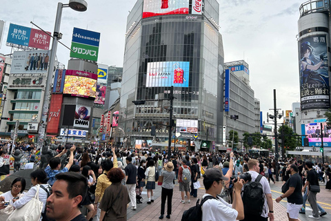 Tokyo e Fuji: Tour privato di 2 giorni con auto PremiumTokyo e Fuji: Tour privato di 2 giorni in auto Premium