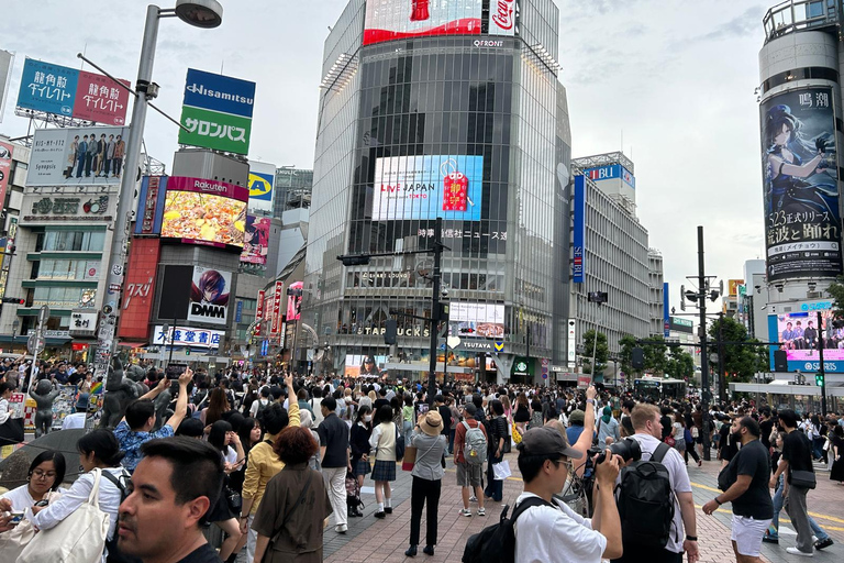 Tokyo et Fuji : Visite privée de 2 jours avec voiture de luxe