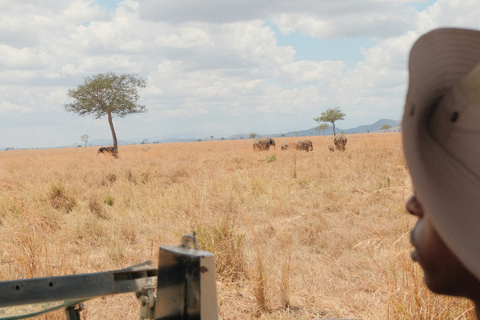 From Zanzibar: 1-Day Selous Safari with Flight & Lunch Selous Safari from Zanzibar – Without Transfer