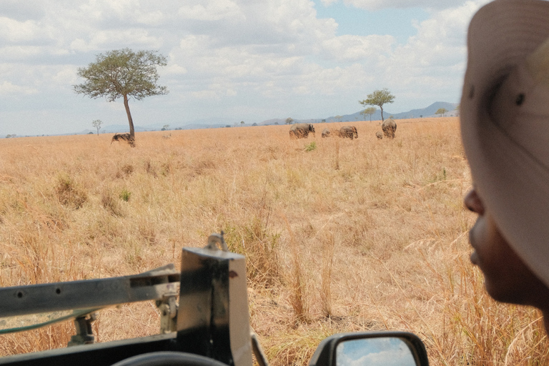 From Zanzibar: 1-Day Selous Safari with Flight & Lunch Selous Safari from Zanzibar – Without Transfer