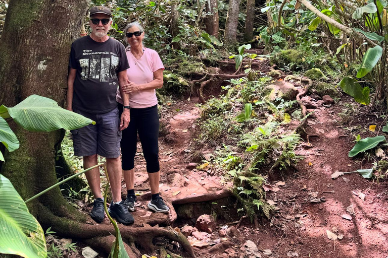 Oahu: Waterfall Hike via Scenic South Shore Drive