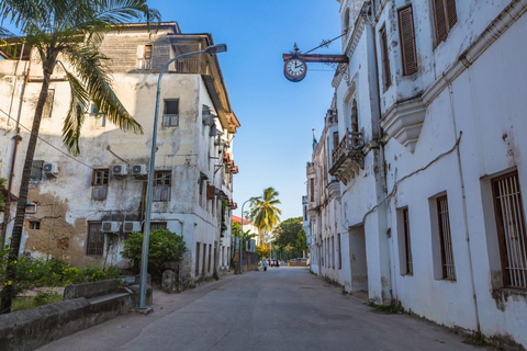 Zanzibar: City with Prison Island Group Tours