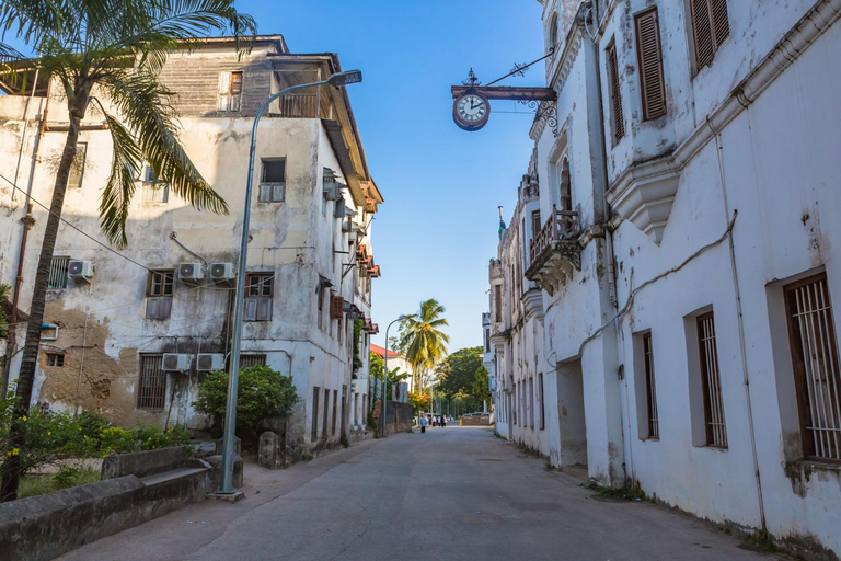 Zanzibar: City with Prison Island Group Tours