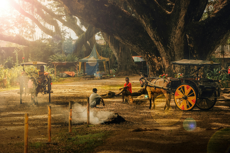 Banyuwangi: De Djawatan, Green, and Red Island Day Trip