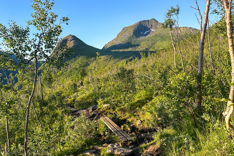 Tromsø: Senja Guided Hike to Hesten with Segla Views