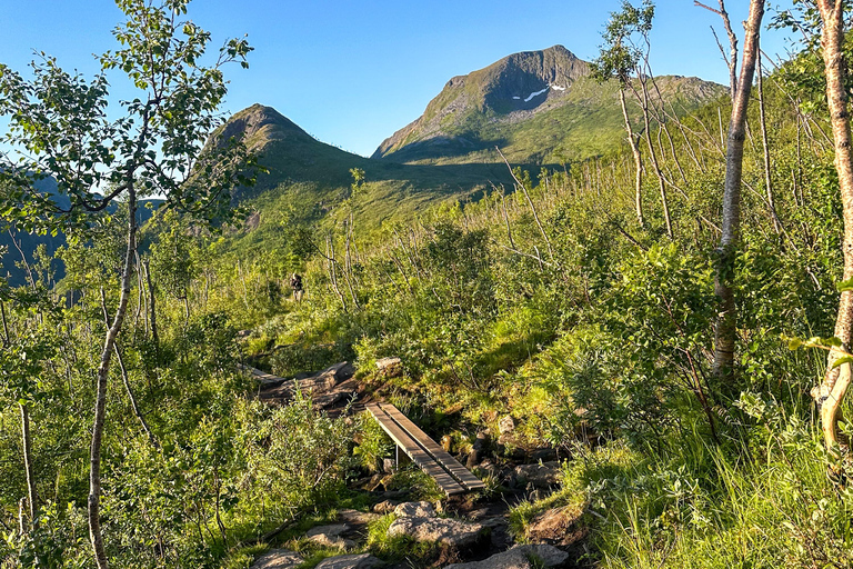 Tromsø: Senja Guided Hike to Hesten with Segla Views