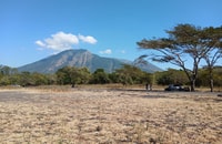 Banyuwangi, Private Car Charter with Professional Driver - Housity