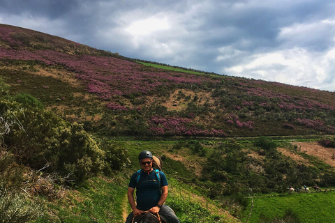 Oaxaca: Valle De Tlacolula Scenic Horseback Ride With Snacks