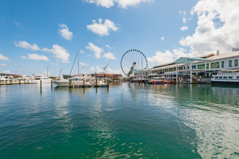 Miami Combo: Open-top Bus Tour & Millionaires Row Bay Cruise Miami: Open-Top Bus Tour & Millionaire's Row Bay Cruise