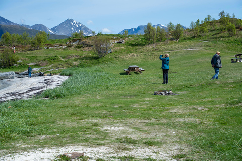 Senja Exploration (Arctic Fjords & Coastal Scenery)